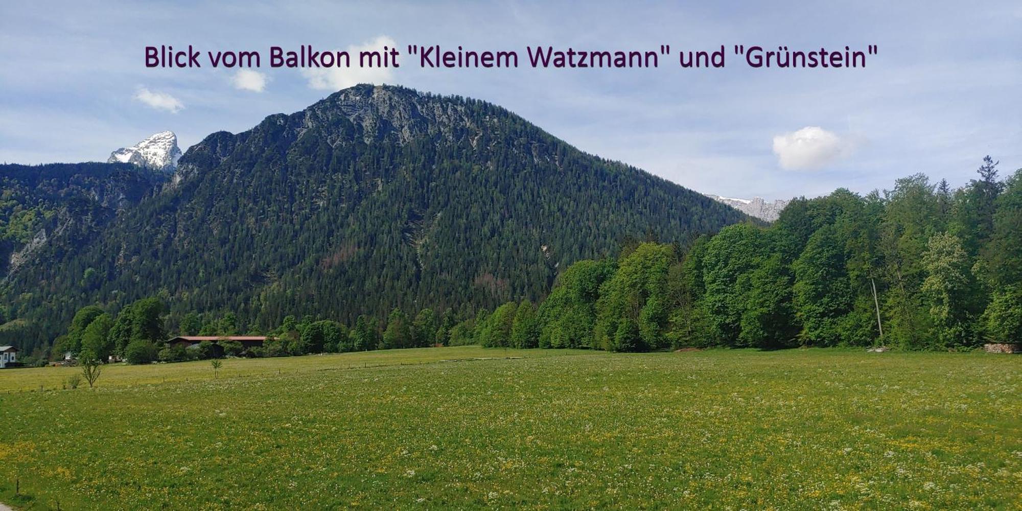 Ferienwohnungen Andrea Schonau am Konigssee Bagian luar foto